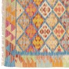 El Dokuma Kilim Erdebil 813093 - 75 × 193