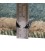 Fars Alfombera Persa Gabbeh Ref 706063
