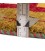 El Dokuma Gabbeh Fars 122556 - 54 × 152