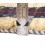 Fars Gabbeh Ref 122571
