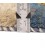 El Dokuma Gabbeh Fars 122574 - 82 × 124