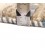 Fars Gabbeh Ref 122585
