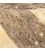 Fars Gabbeh Ref 122585