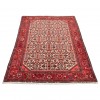 Roudbar Rug Ref 130204