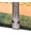 Fars Gabbeh Ref 171946