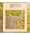 Tabriz Alfombera Persa Tableau Ref 903173