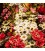 Tableau tapis persan Tabriz fait main Réf ID 903331