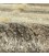 El Dokuma Gabbeh Qashqai 707026 - 103 × 153