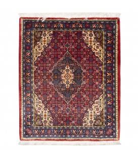 沙鲁阿克 伊朗手工地毯 代码 705368