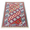 El Dokuma Kilim Fars 152468 - 103 × 150