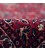 Bidjar َAfshar Rug Ref 101803