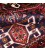 Fars Alfombera Persa  Ref 179382