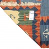 El Dokuma Kilim Fars 172219 - 162 × 238