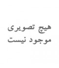 محصول بازیابی شده 13286