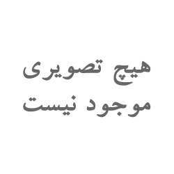 فرش دستباف شش و نیم متری نهاوند کد 179553